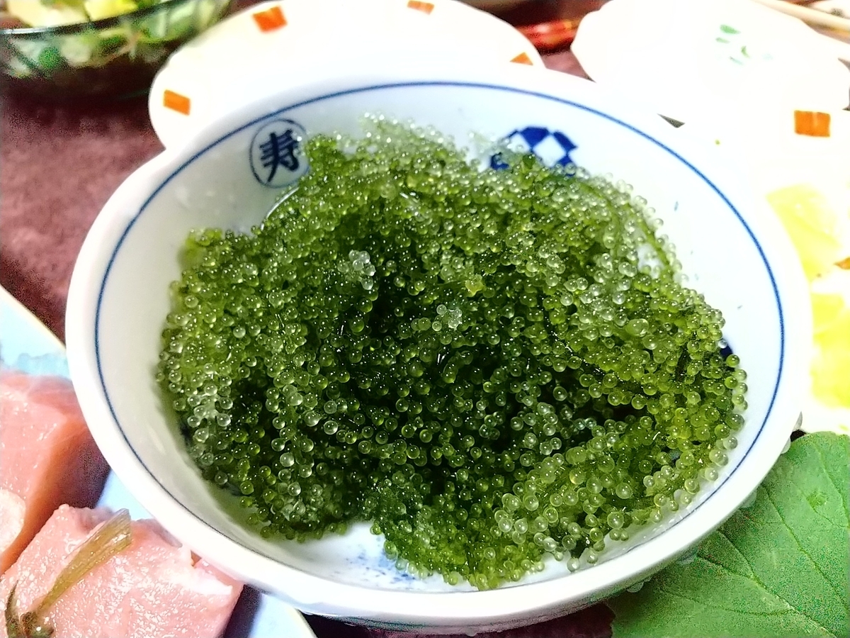 f:id:bontosyougatu:20210404162320j:plain
