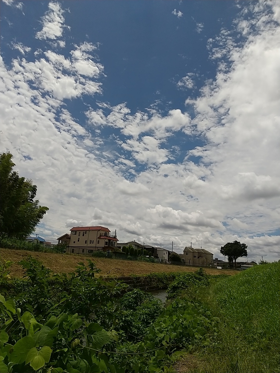 f:id:bontosyougatu:20210621202943j:plain