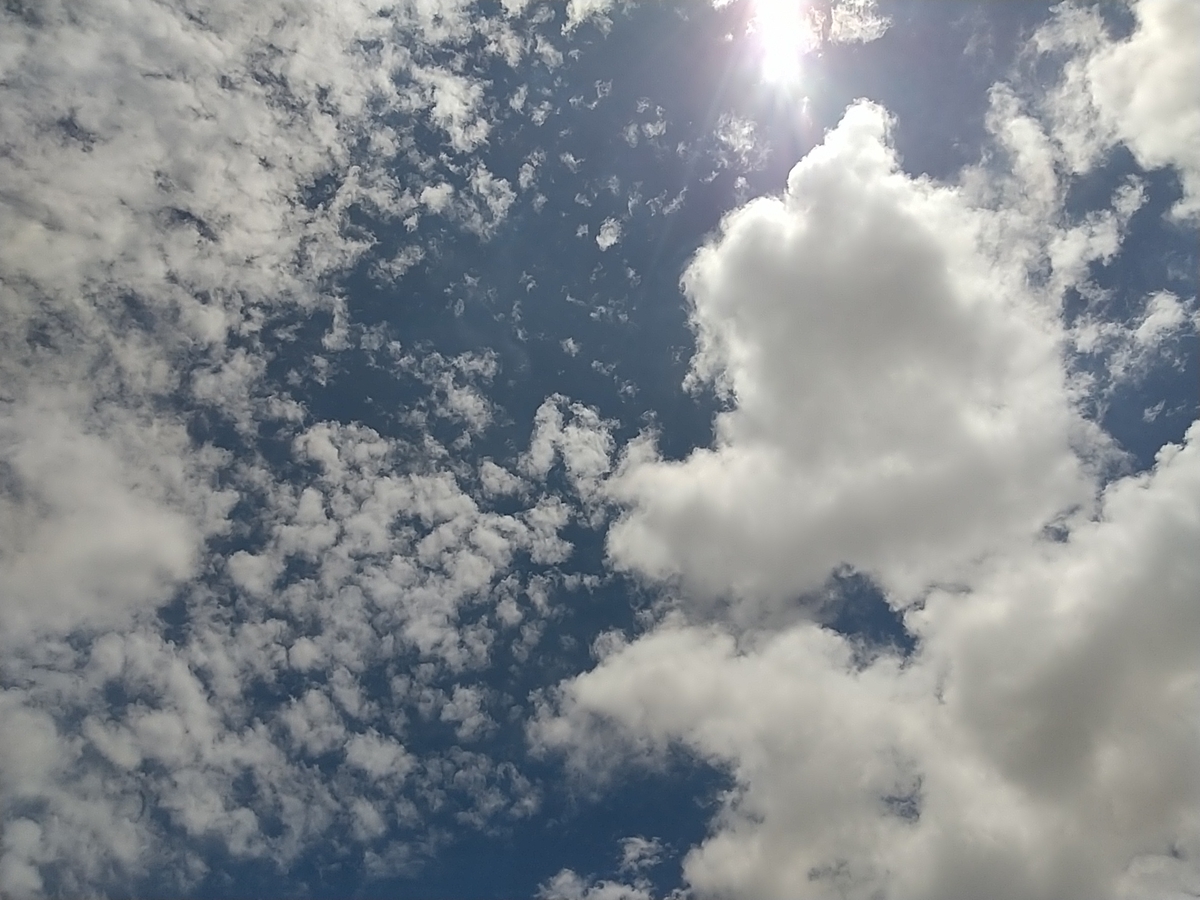 f:id:bontosyougatu:20210621202955j:plain
