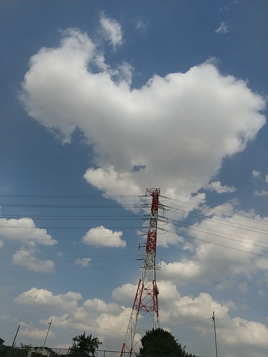 f:id:bontosyougatu:20210827201533j:plain