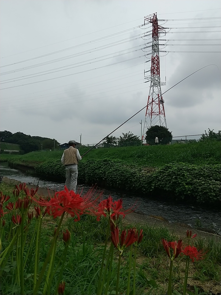 f:id:bontosyougatu:20210912184448j:plain