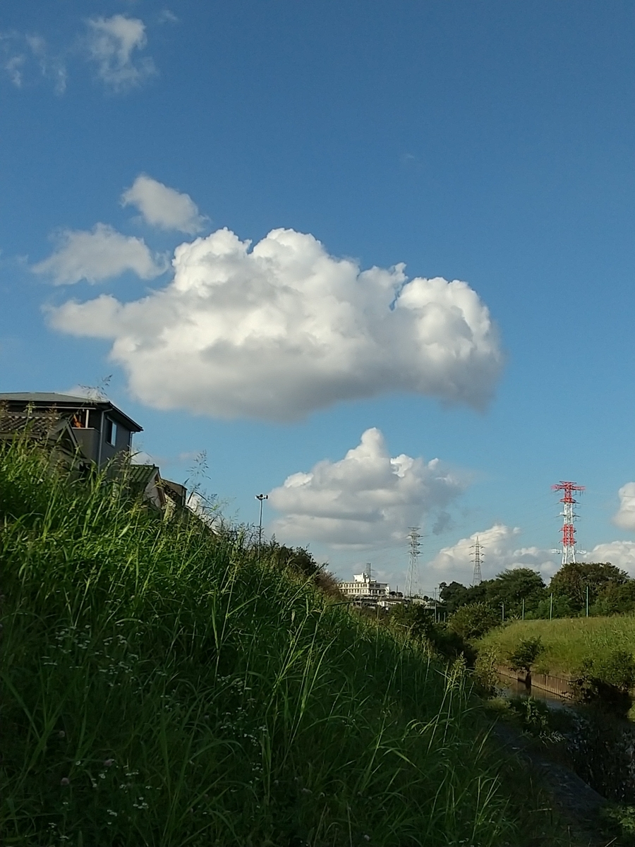 f:id:bontosyougatu:20211010182449j:plain