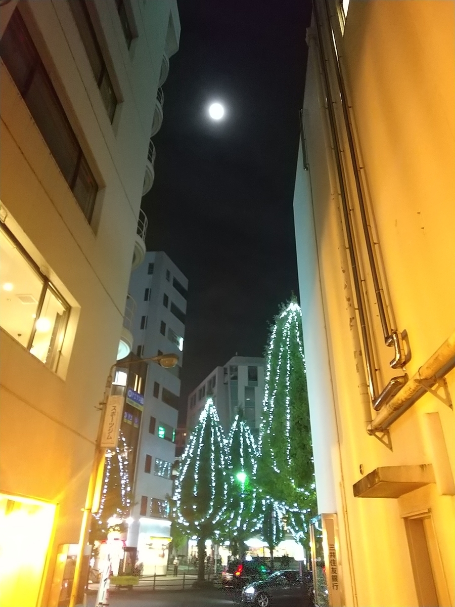 f:id:bontosyougatu:20211120180033j:plain