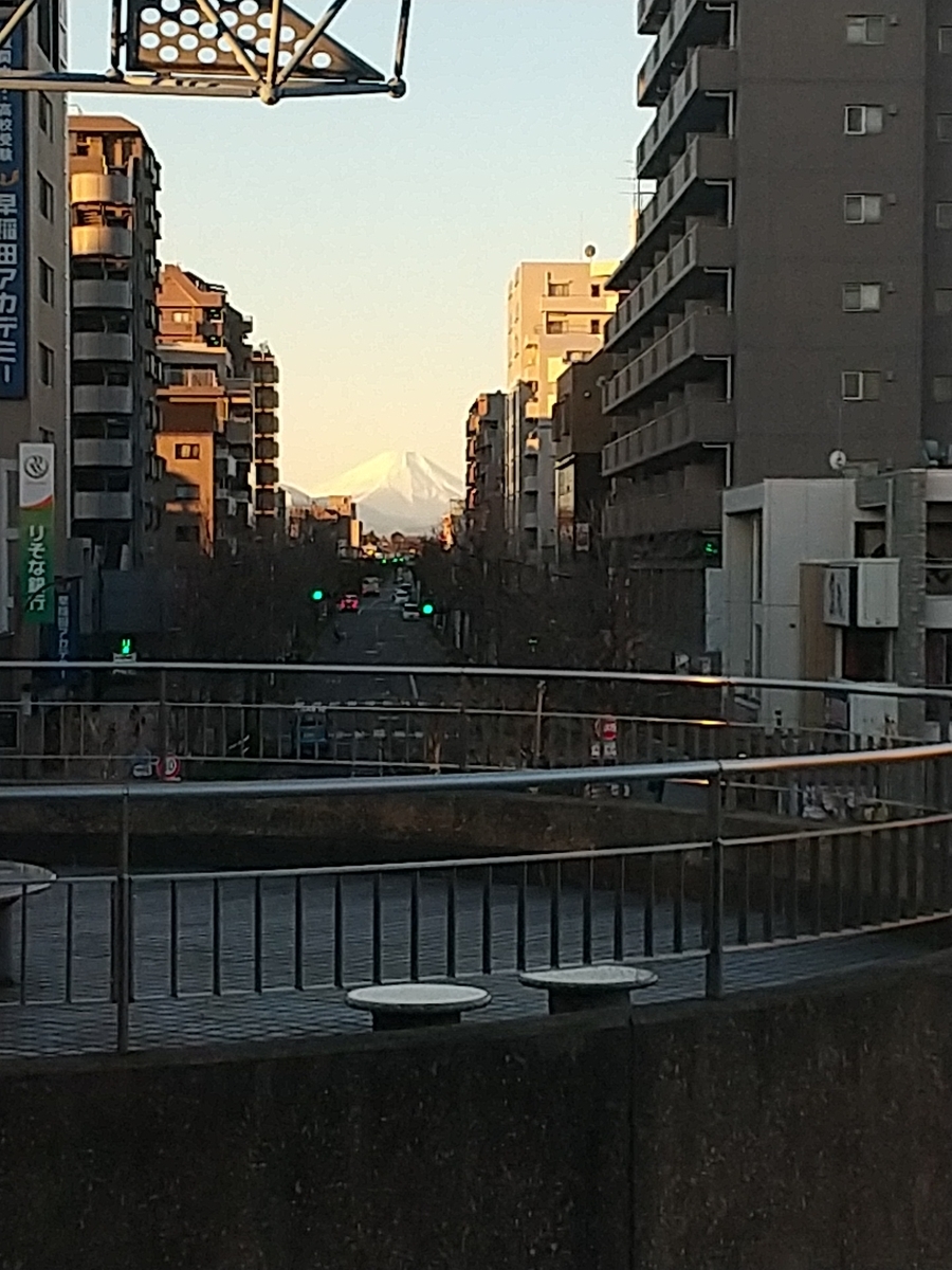 f:id:bontosyougatu:20220105183946j:plain