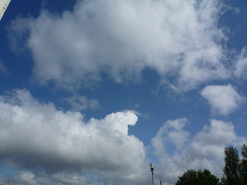 P1050732