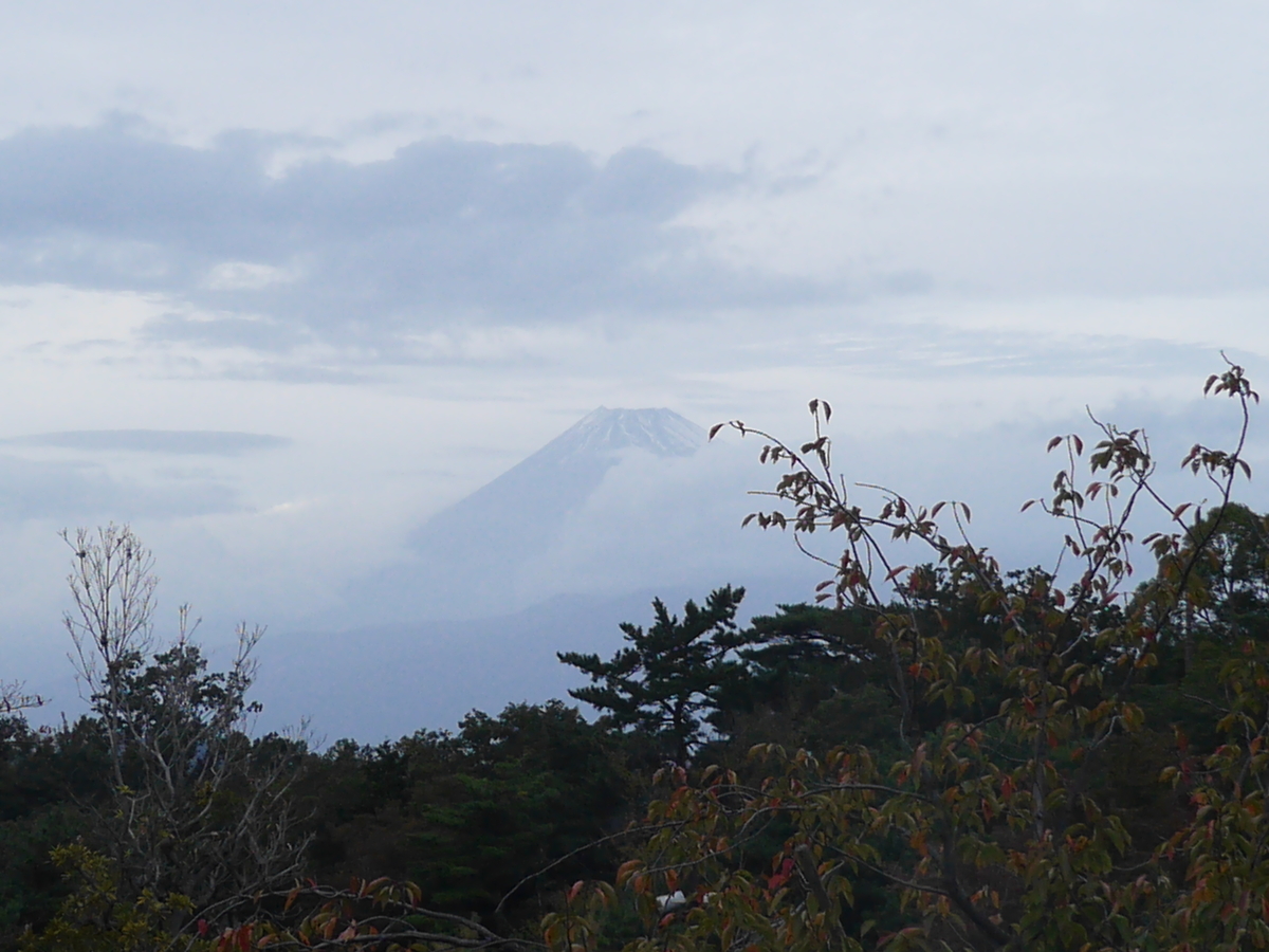 f:id:bonvoy:20201218200514j:plain