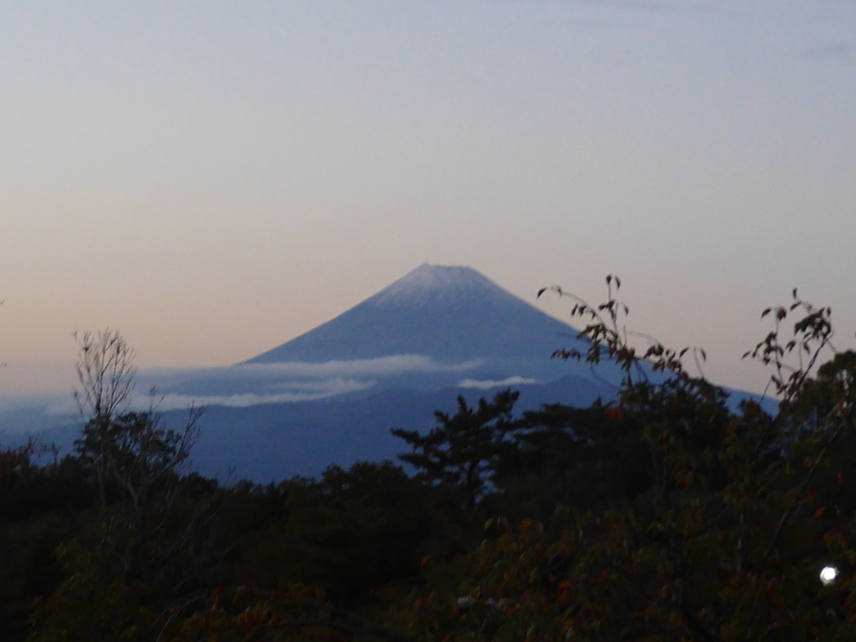 f:id:bonvoy:20201218201720j:plain