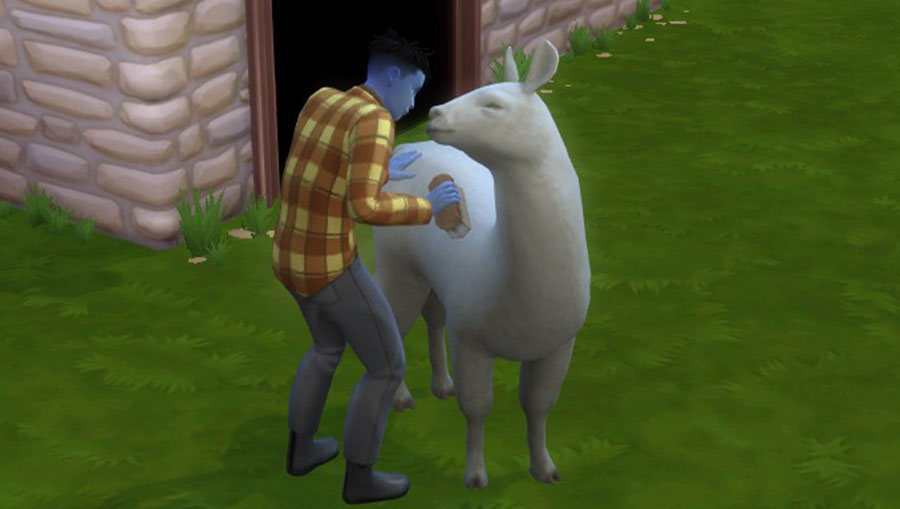 f:id:bonyarisims:20220413135536j:plain