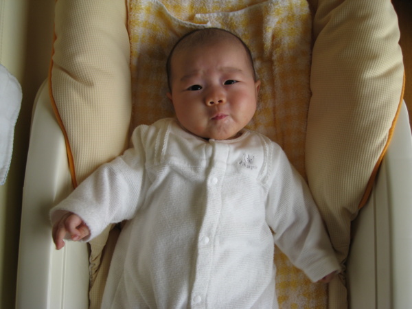 f:id:bonze:20090425092324j:image