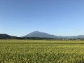 f:id:bonze:20170903060912j:image:medium