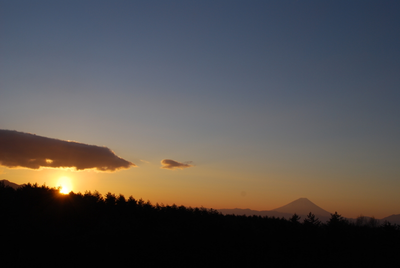 f:id:bonzo11:20081231070956j:image