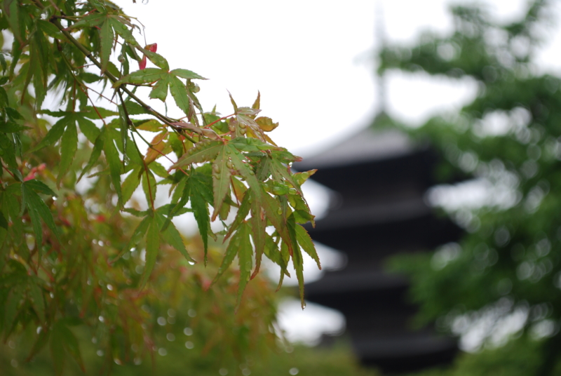 f:id:bonzo11:20110628064705j:image