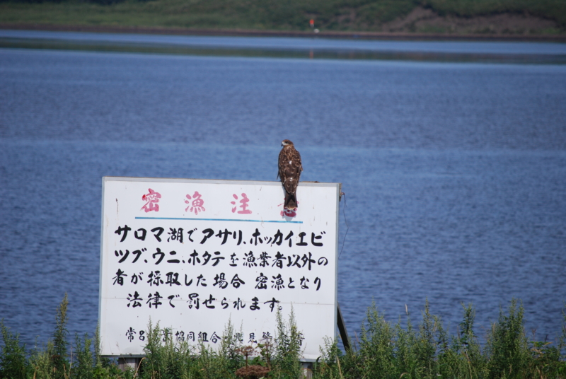 f:id:bonzo11:20110819124913j:image