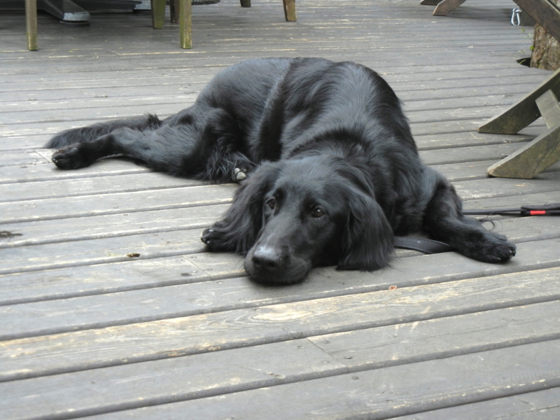 f:id:bonzo11:20110904214749j:image