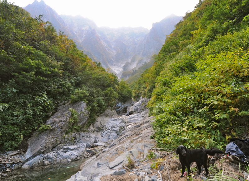 f:id:bonzo11:20111013221309j:image