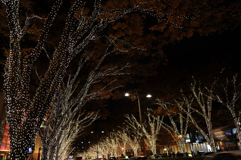 f:id:bonzo11:20111208225406j:image