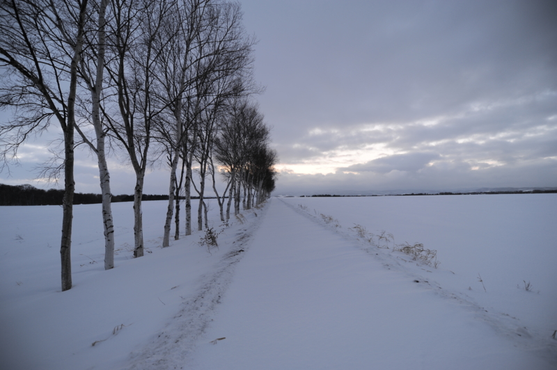 f:id:bonzo11:20120118080639j:image