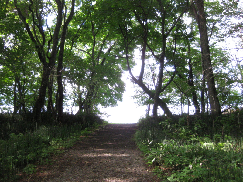 f:id:bonzo11:20120715090911j:image