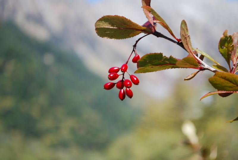 f:id:bonzo11:20121014091431j:image