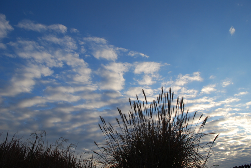f:id:bonzo11:20121208085809j:image