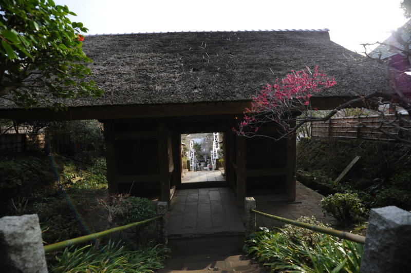 f:id:bonzo11:20130309003449j:image