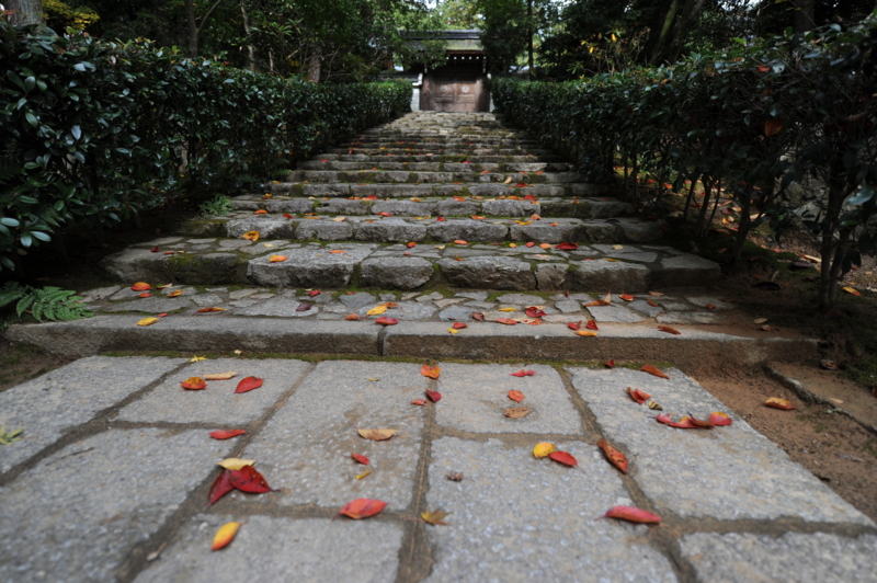 f:id:bonzo11:20131029075032j:image