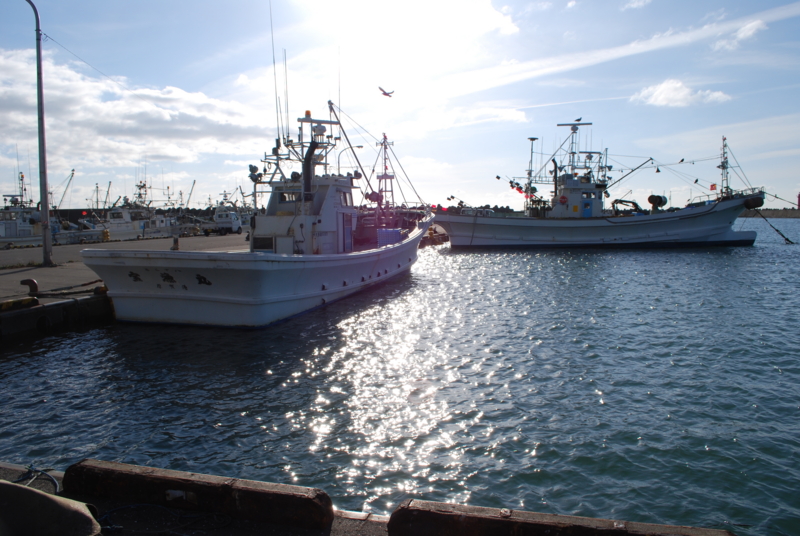 f:id:bonzo11:20131109201013j:image