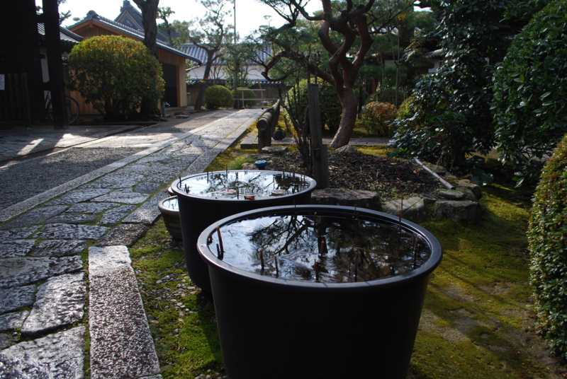 f:id:bonzo11:20131201162328j:image