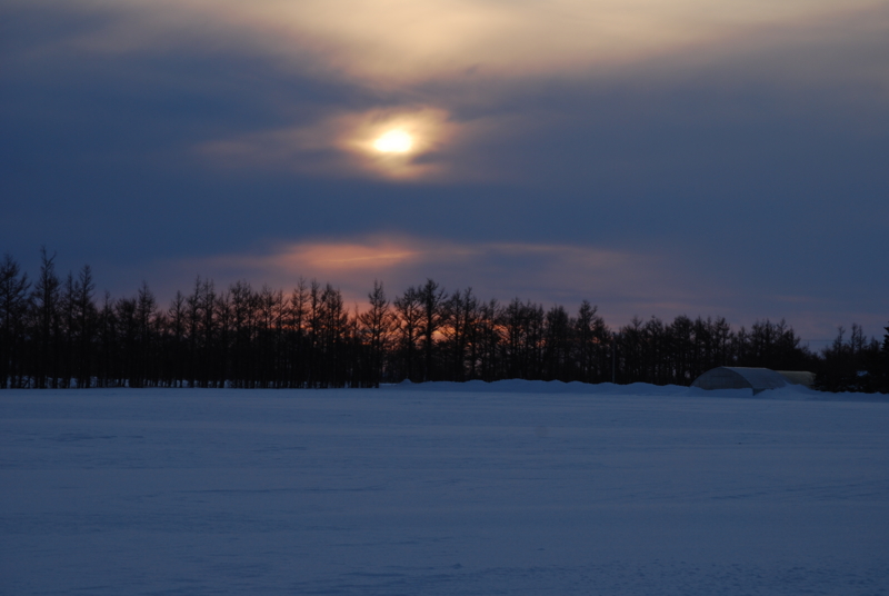f:id:bonzo11:20140119202713j:image