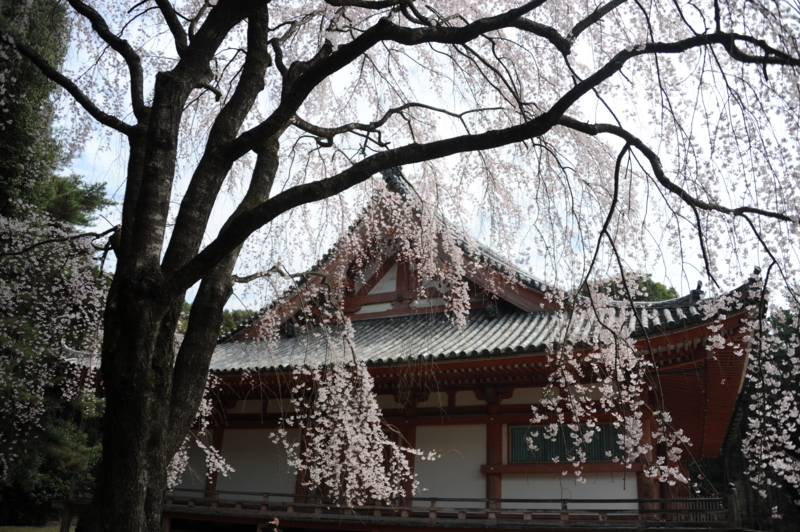 f:id:bonzo11:20140402071813j:image