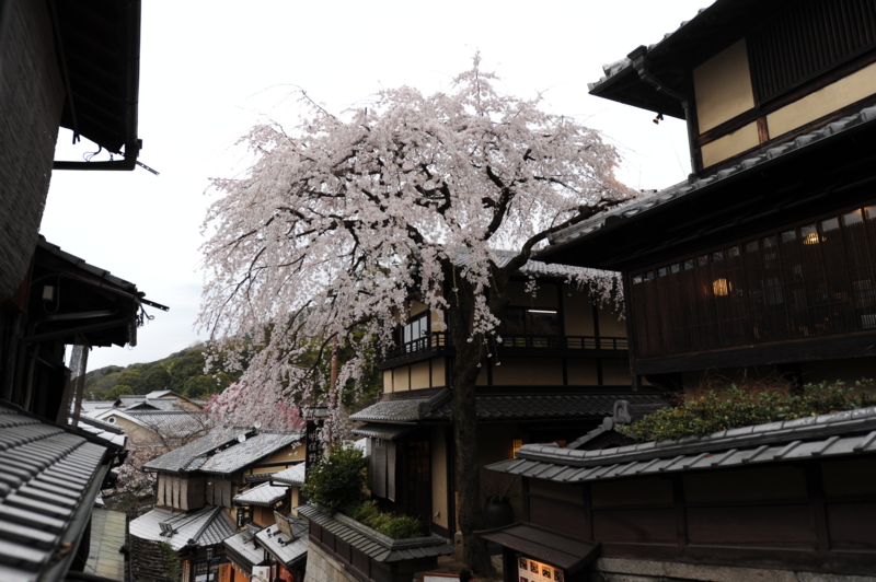 f:id:bonzo11:20140412172305j:image