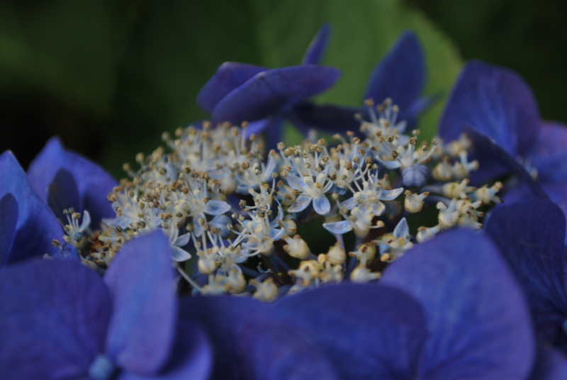 f:id:bonzo11:20140616062514j:image