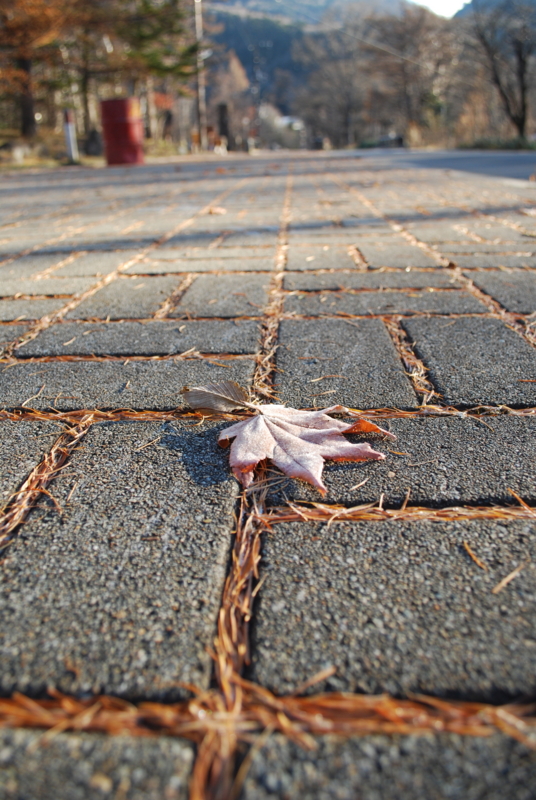 f:id:bonzo11:20141108073709j:image