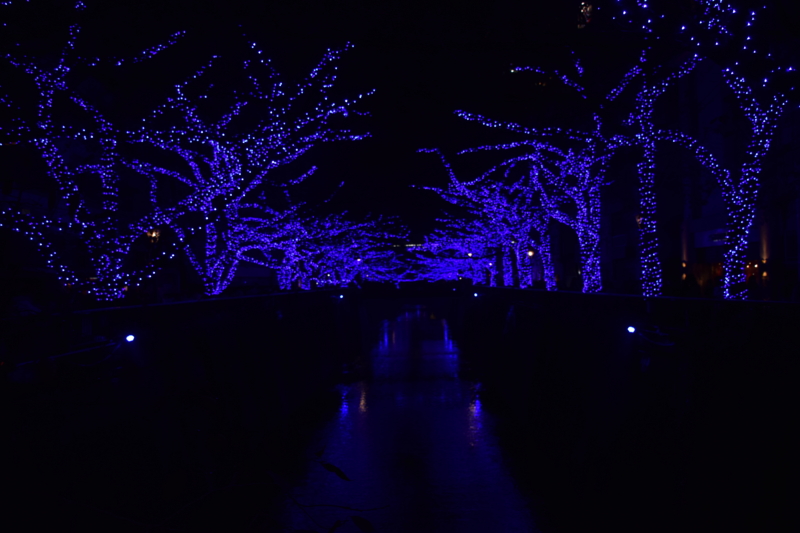 f:id:bonzo11:20141208204934j:image
