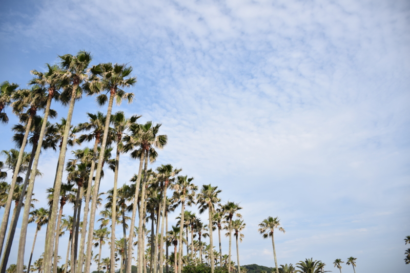 f:id:bonzo11:20150607061520j:image
