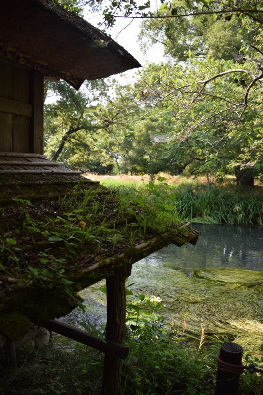 f:id:bonzo11:20150714062828j:image