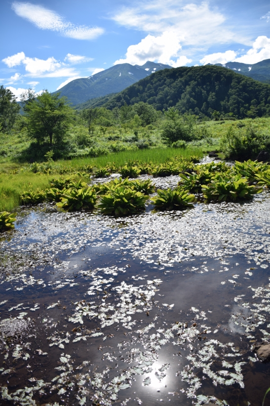 f:id:bonzo11:20150726213534j:image