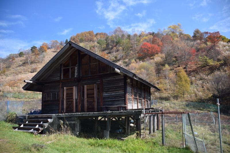 f:id:bonzo11:20151031073358j:image