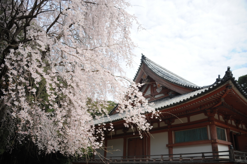 f:id:bonzo11:20160402200804j:image