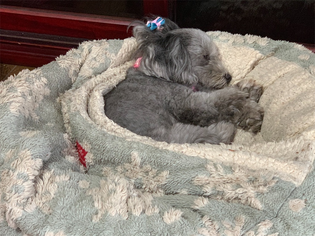 f:id:boogie-box:20190611165736j:image