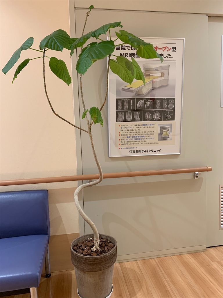 f:id:boogie-box:20190624133614j:image