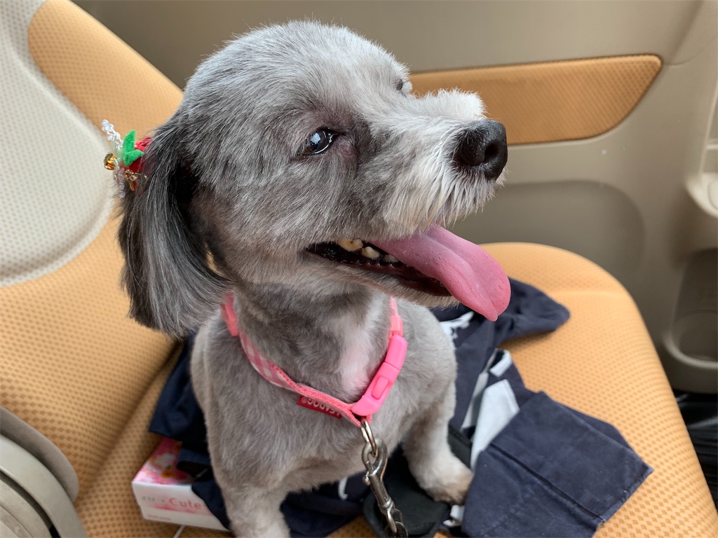 f:id:boogie-box:20190626082627j:image