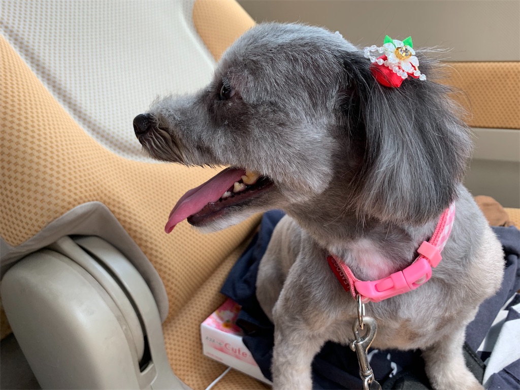 f:id:boogie-box:20190626082630j:image
