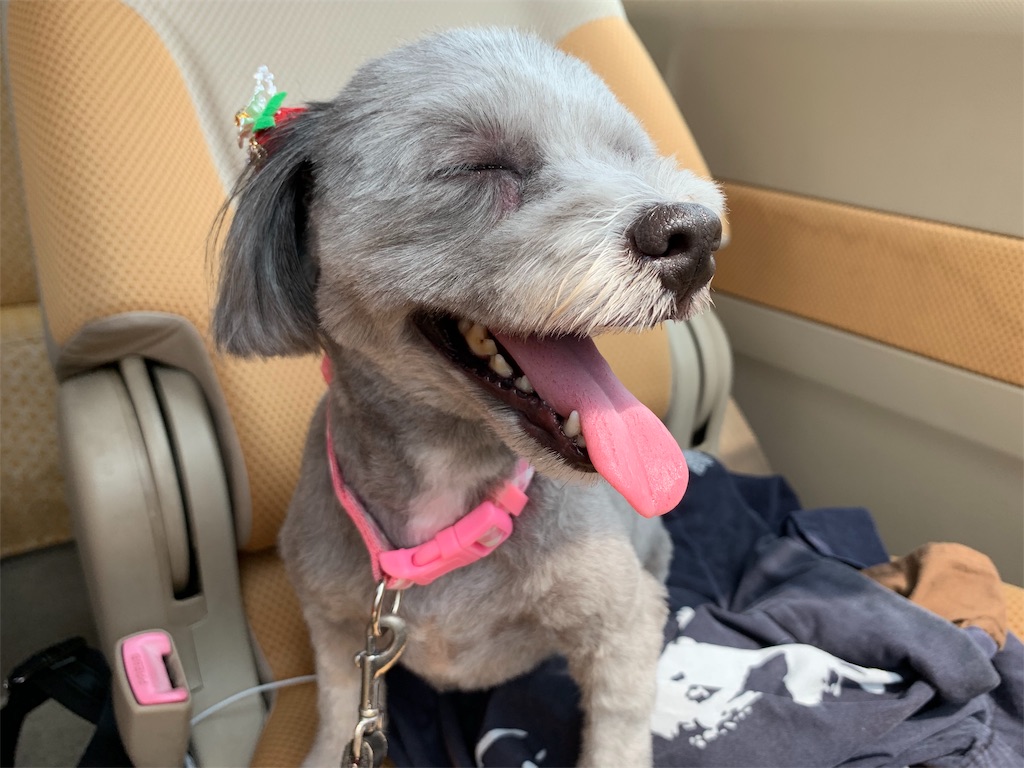 f:id:boogie-box:20190626082633j:image