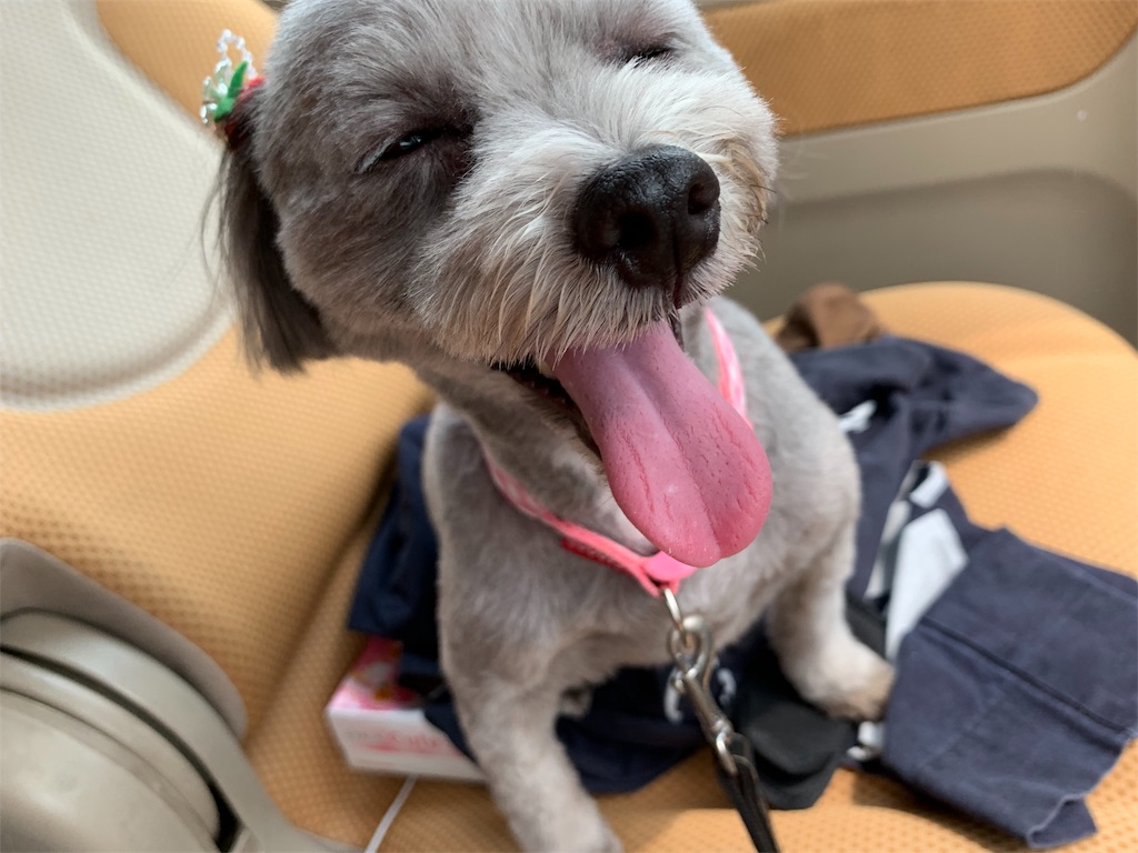 f:id:boogie-box:20190626082636j:image