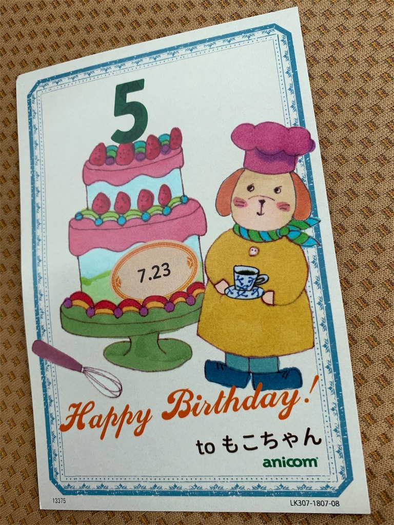 f:id:boogie-box:20190626154529j:image