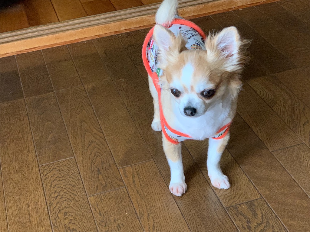 f:id:boogie-box:20190804090835j:image