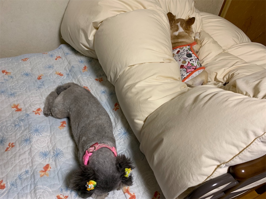 f:id:boogie-box:20190804091408j:image