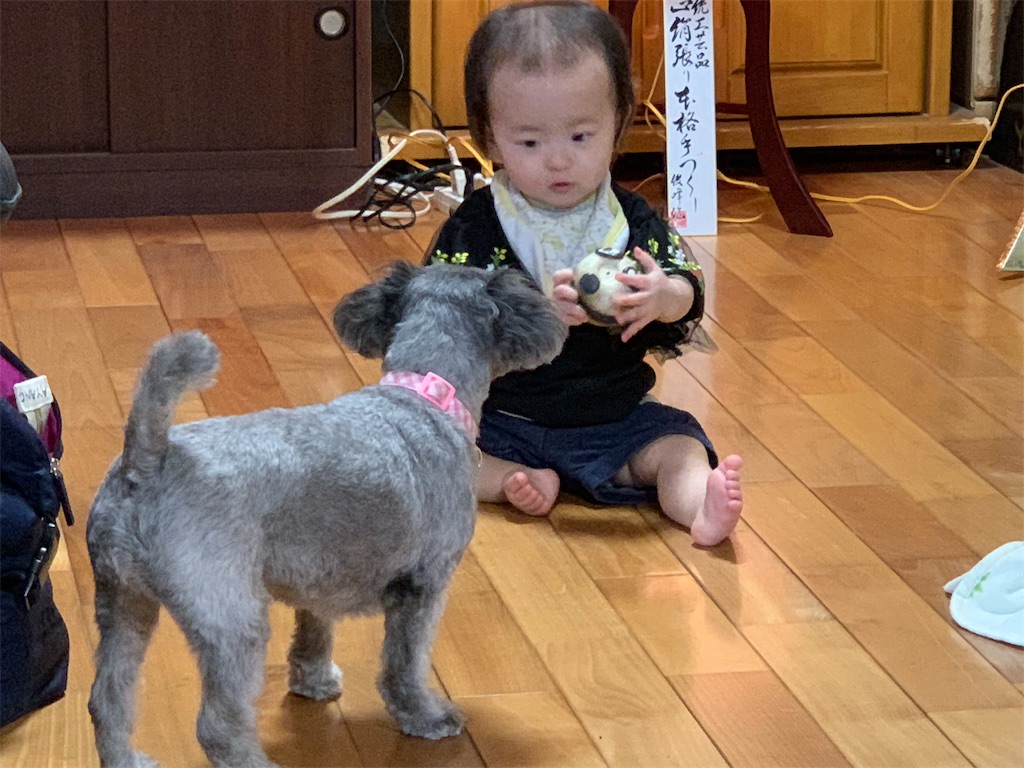 f:id:boogie-box:20190814104653j:image