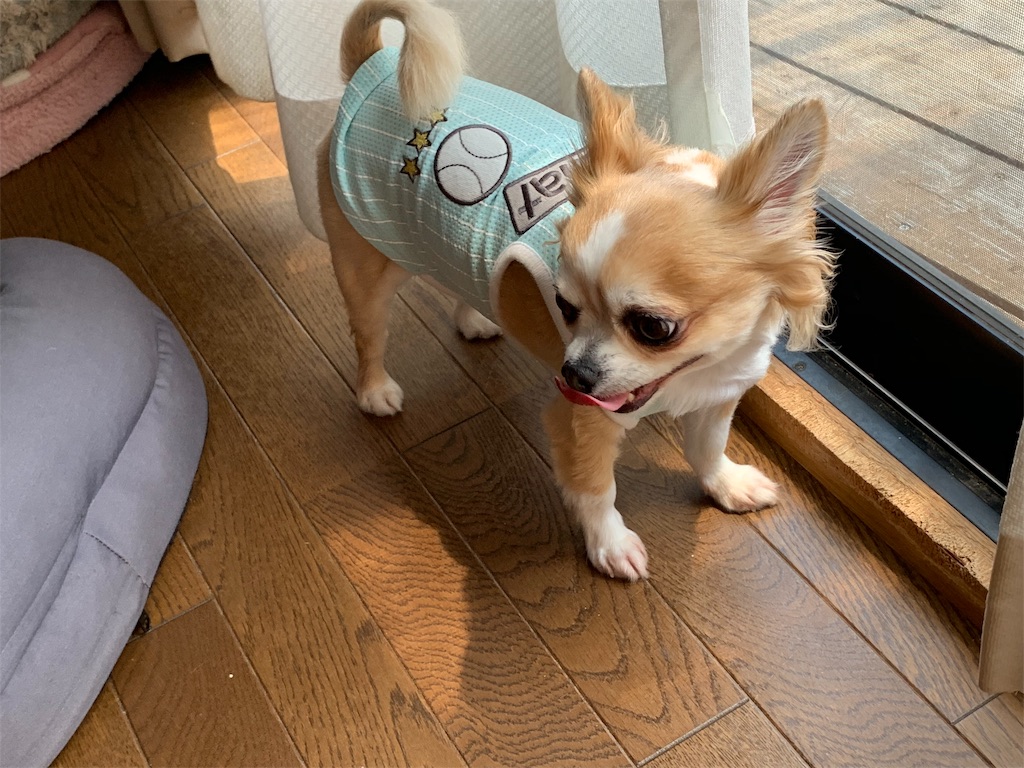f:id:boogie-box:20190817093609j:image